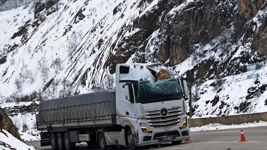 Gümüşhane'de tırın üzerine kaya düştü: Sürücü yaralandı