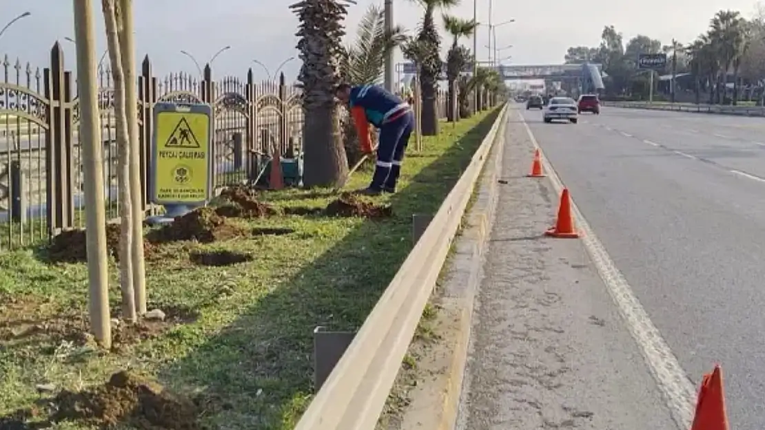 Trabzon Büyükşehir Belediyesi'nden çevre düzenlemesi