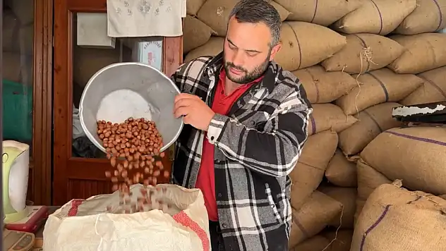 Fındık fiyatları Cumhuriyet tarihinin en yüksek seviyesine çıktı
