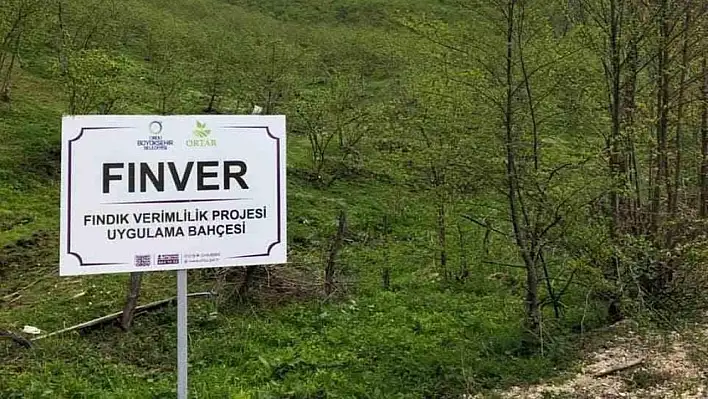 FINVER projesiyle fındıkta verim yüzde 100 arttı!