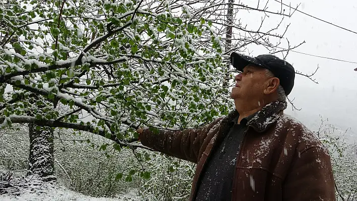 Kar yağışı fındık üreticisini endişelendirdi