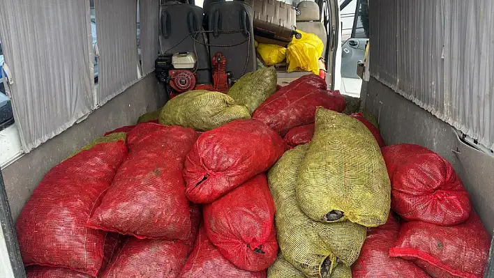 Samsun'da 1,5 ton kaçak midye ele geçirildi
