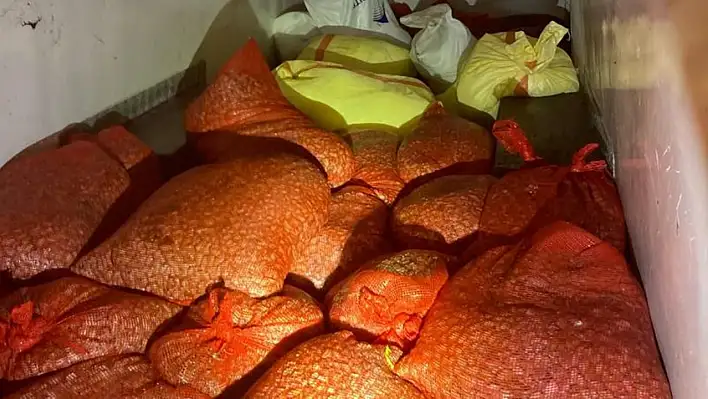 Samsun'da 1 ton kaçak midyeye rekor ceza!