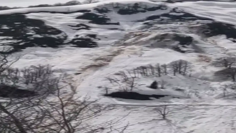 Artvin Macahel Vadisi'nde çığ ve heyelan bir arada yaşandı